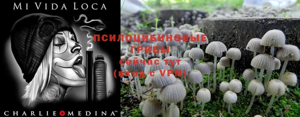 прущая мука Аркадак