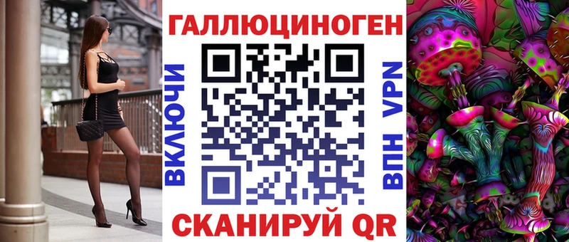 Галлюциногенные грибы ЛСД  магазин продажи   Новая Ладога 